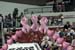 08LSU0D_0031