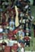 08NCState2K_1207_Tiffany