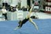 08Ky4K_1572_Katie