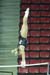 08NCAAPK_4920