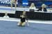 08NCAA1S1K_5050