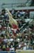08NCAAF5D_2658_CourtneyM