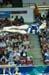 08NCAAID_3212