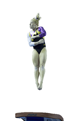 Susan Jackson, Vault Champion